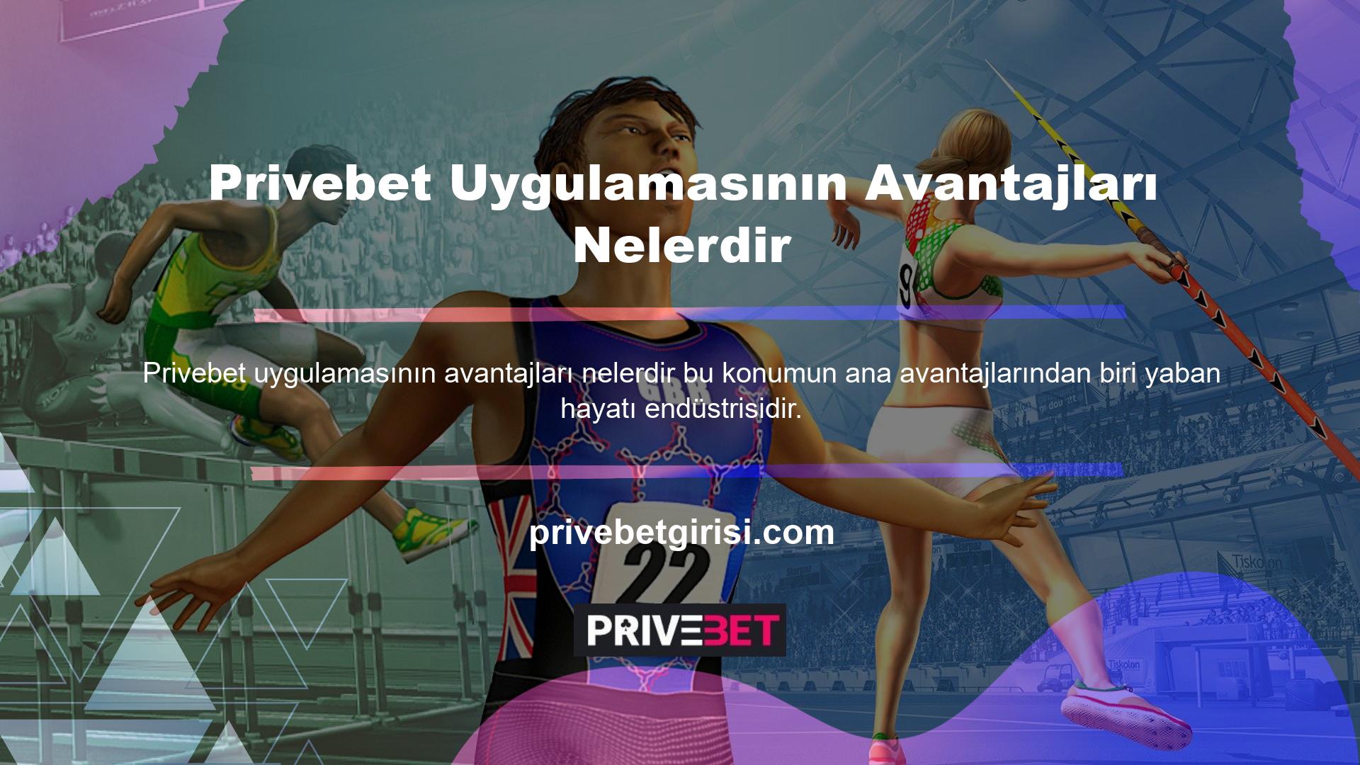 Özellikle Privebet, ülkenin her yerinden kullanıcıların keyif aldığı ve katıldığı oyunları bünyesinde barındırdığı için geniş bir kullanıcı kitlesine sahiptir